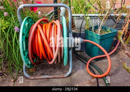 Un vieux, à la recherche du tuyau flexible sur une bobine sur le sol en face d'un mur dans le jardin. Banque D'Images