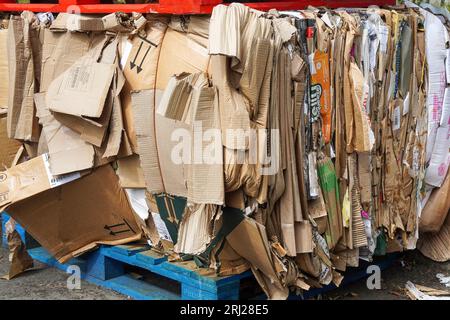 Palettes de déchets en balles et compressés prêts pour la collecte de recyclage, près d'Ayr, Écosse, Royaume-Uni Banque D'Images
