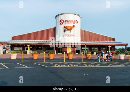 Ferme laitière Youngs Jersy située à Yellow Springs, Ohio, États-Unis Banque D'Images