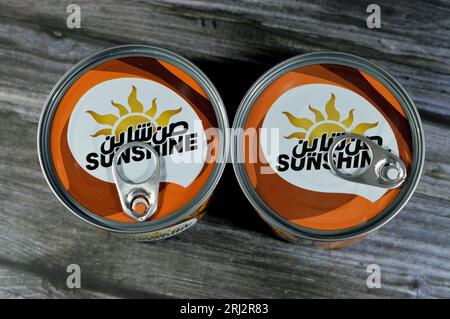 Gizeh, Égypte, août 12 2023 : Sunshine Tuna Single Piece Easy Open, le thon est riche en protéines et vitamines qui stimulent le système immunitaire, Sunshine Solid Banque D'Images