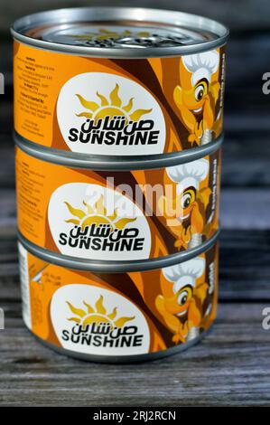 Gizeh, Égypte, août 12 2023 : Sunshine Tuna Single Piece Easy Open, le thon est riche en protéines et vitamines qui stimulent le système immunitaire, Sunshine Solid Banque D'Images