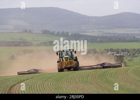 Vue de face d'un tracteur créant des nuages de poussière rouler un champ d'orge de printemps sur des terres agricoles dans la campagne de l'Aberdeenshire Banque D'Images