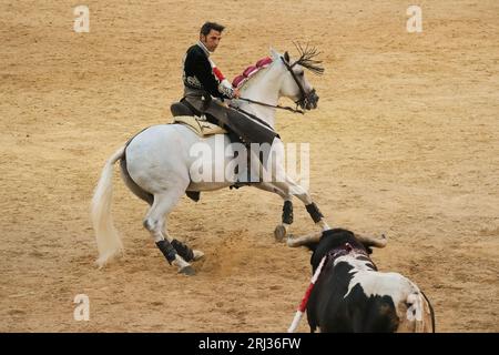 Le rejoneador Iván Magro combat le taureau lors d'une corrida de rejones dans les arènes Las Ventas à Madrid. Madrid Espagne. 08/20/2023, Banque D'Images