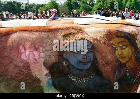 20 août 2023. Bhaktivedanta Manor célèbre ses 50 ans avec une procession de boeufs peints et de vaches, tandis que les dévots de Hare Krishna chantent et dansent leur chemin avec eux. Crédit : Simon King/Alamy Live News Banque D'Images