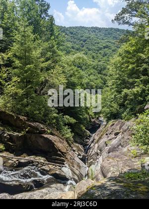 Une verticale d'une rivière coulant à travers des montagnes verdoyantes par une journée ensoleillée Banque D'Images