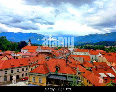 Une vue aérienne d'un paysage urbain avec des toits rouges Banque D'Images