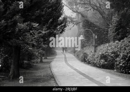 Une photo en noir et blanc d'un couple amoureux marchant sur une route paisible entourée de beaux arbres Banque D'Images