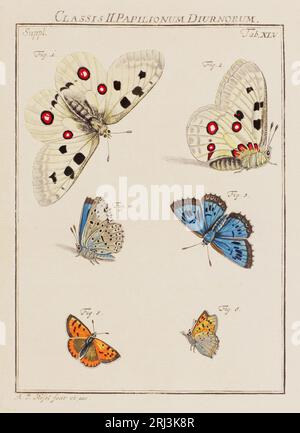 Illustration de papillons. Ceci est une plaque d'un vieux livre allemand sur les insectes, en particulier les papillons. Le livre a été publié vers le milieu de TH Banque D'Images