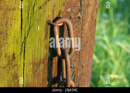 Un cadenas rouillé et vieilli pend d'un poteau en bois, sa manille fermée Banque D'Images