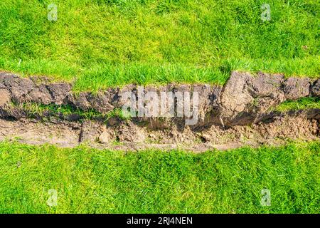 Un fossé creusé dans la pelouse pour la pose de tuyaux et l'installation d'irrigation. Sol sous pelouse verte et système de racines d'herbe Banque D'Images