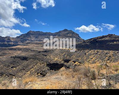 Une vue panoramique d'un paysage rural avec un champ de terre avec des taches clairsemées de végétation brune, et une gamme de montagnes lointaines en arrière-plan Banque D'Images