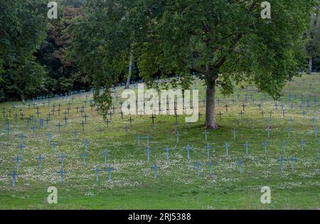 Cimetière des soldats allemands près de Verdun dans le nord de la france Banque D'Images