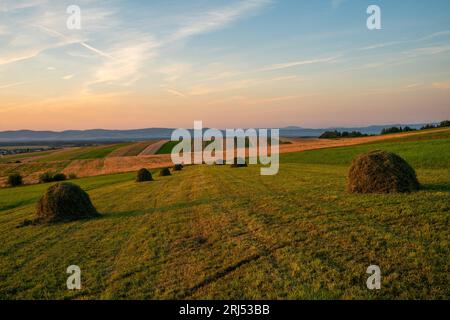 Meules de foin sur une prairie de montagne Banque D'Images
