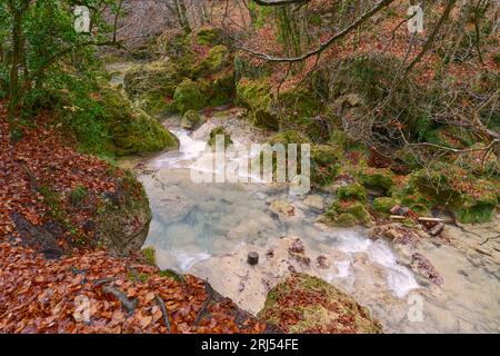 Le parc naturel de la rivière Uderra Urbasa-Andia, Baquedano, Navarre, Espagne, Europe. Banque D'Images