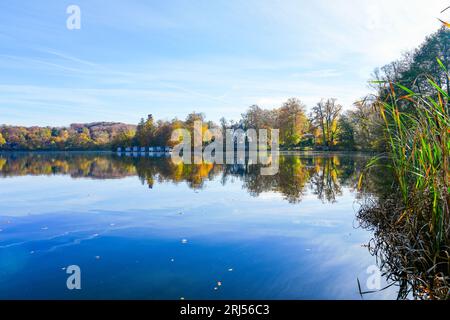 Wesslinger Voir à Wessling dans le quartier de Starnberg en Bavière. Paysage d'automne au bord du lac. Nature idyllique. Banque D'Images