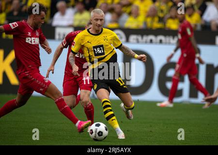 Dortmund/ Allemagne. 19/08/2023, Marco REUS (DO) contre Luca WALDSCHMIDT (K), action, duels, soccer 1e Bundesliga, 1e journée, Borussia Dortmund (DO) - 1st FC Cologne (K) 1 : 0 le 19 août 2023 à Dortmund/ Allemagne. La réglementation #DFL interdit toute utilisation de photographies comme séquences d'images et/ou quasi-vidéo # Banque D'Images