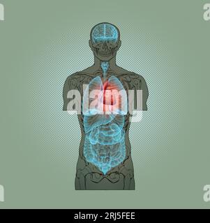 Série d'illustrations : squelette avec organes humains. Image 5 sur 10 Banque D'Images