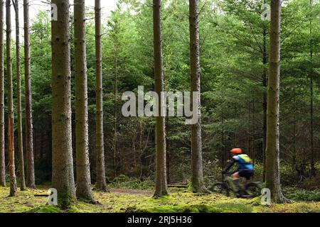 Moutainbiker dans les Ardennes Banque D'Images