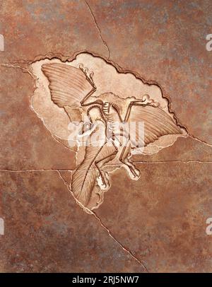 Archaeopteryx Mentions légales Illustration Banque D'Images