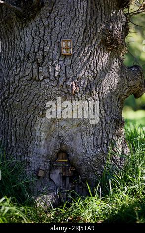 Un grand arbre avec une petite porte sur le tronc. Banque D'Images