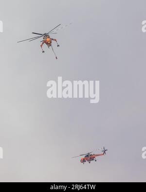 Incendie de forêt massif à Alexandroupolis Evros Grèce, près de l'aéroport et Apalos, situation d'urgence, hélicoptères de lutte contre les incendies aériens. Banque D'Images