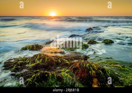 Un magnifique lever de soleil sur l'horizon d'une plage immaculée, avec le soleil commençant à se coucher et le ciel se tournant vers une belle gamme d'oranges et de roses Banque D'Images