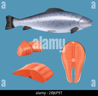 Filet de saumon. Viande de poisson réaliste pour le menu gastronomique de restaurant naturel coupant des aliments sains décents vecteurs morceaux de poisson Illustration de Vecteur