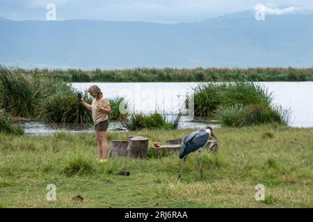 Cratère de Ngorongoro, Tanzanie - 12 mars 2023 : une femme prend un selfie avec un oiseau cigogne de Marabou (défocalisé), se rapprochant trop de la faune Banque D'Images