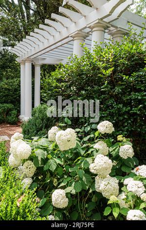 Charlotte Caroline du Nord, Myers Park, Duke Mansion, jardin paysager Banque D'Images