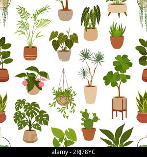 Pot avec des plantes vertes motif sans couture, des fleurs et des succulentes. Pots de fleurs de bureau. Papier peint de tuile de vecteur de dessin animé avec des plantes d'intérieur monstera, cactus et ficus. Alocasia, sansevieria, strelitzia et agave Illustration de Vecteur