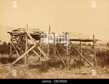 Arbre funéraire tribal Crowe sur le Yellowstone, près de Shields River, en 1871..jpg - 2RJ7B Banque D'Images