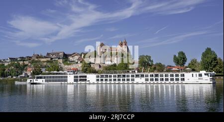 Vue sur le Rhin jusqu'à la colline de Münsterberg avec St. Cathédrale de Stephansmünster, Breisach am Rhein, Kaiserstuhl, Breisgau, Forêt Noire, Baden-Wuer Banque D'Images