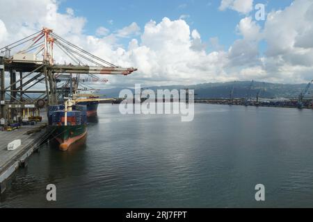 Port de Kingston avec des porte-conteneurs sous grue à portique exploités par des débardeurs pendant l'opération de cargaison. Banque D'Images