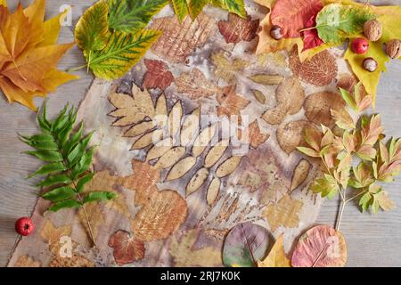 Feuilles d'automne, noix et baies couchées sur bande de tissu teint à la main en utilisant la technique d'éco-impression Banque D'Images