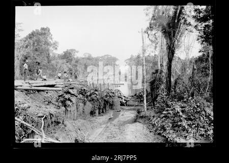 Trabalhadores Executam Obras de Construção da via Férrea sobre Ponte em Afluente do Rio Madeira - 1232 1910 de Dana B. Merrill Banque D'Images