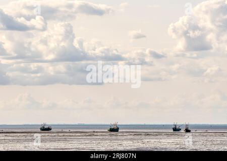 Des bateaux de coquillages échouèrent dans le Wash pour ramasser des coques à marée basse. Les bateaux flottent à marée haute suivante. Banque D'Images