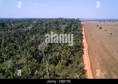 Vue aérienne de drone des beaux arbres de la forêt tropicale amazonienne et déforestation pour ouvrir des terres pour le bétail dans la ferme d'élevage. Amazonas, Brésil. Environnement. Banque D'Images