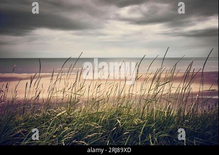 Plage de Blackpool vue à travers la longue herbe dans des conditions orageuses Banque D'Images