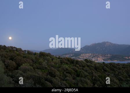 Propriano est une très belle ville méditerranéenne sur l'île française cosicica. La vie urbaine et la vie de plage sont proches les uns des autres fourmis nuit et jour. Banque D'Images