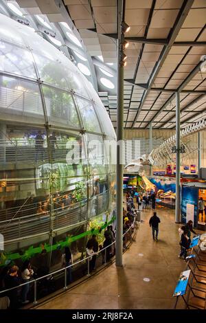 Les gens marchent autour du dôme du biome de la forêt tropicale avec une exposition lointaine de squelette de baleine Banque D'Images