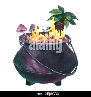 Aquarelle chaudron de sorcière avec plante de mandragora et champignons toxiques. Illustration peinte à la main de Caldron avec feu pour Halloween clip art. Isolé s Banque D'Images