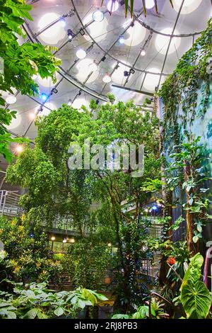 Exposition de forêt tropicale artificielle à l'intérieur d'un dôme de l'Académie des sciences en Californie Banque D'Images