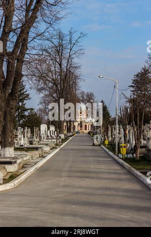 Un cimetière pittoresque avec de vieilles pierres tombales et des arbres illuminés par le soleil lors d'une agréable journée Banque D'Images