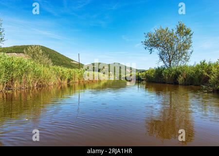 Lac Massaciuccoli (Lago di Massaciuccoli) avec roseaux verts, réserve naturelle et monument naturel dans la province de Lucca, Toscane, Versilia, Italie. Banque D'Images