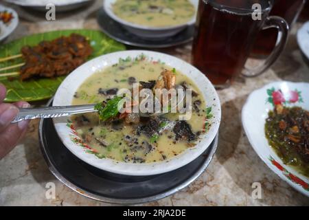 Un bol de soto de style Medan ou soupe avec une combinaison de bœuf, crevettes et poulet, avec des tranches de pommes de terre dans un bouillon crémeux dans un aliment stahl. Banque D'Images