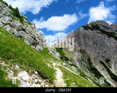 Sentier de randonnée menant à travers le paysage alpin couvert de prairies avec le sommet de la montagne Ablanca dans les alpes juliennes et le parc national du Triglav, Slovénie Banque D'Images