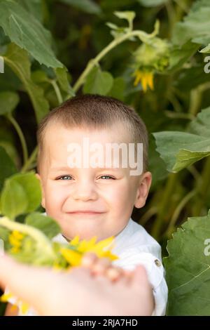 Garçon en tournesols. Portrait d'un petit enfant heureux et beau, en chemise blanche, 4 ans, en été dans un champ avec des tournesols jaunes. Gros plan. Banque D'Images