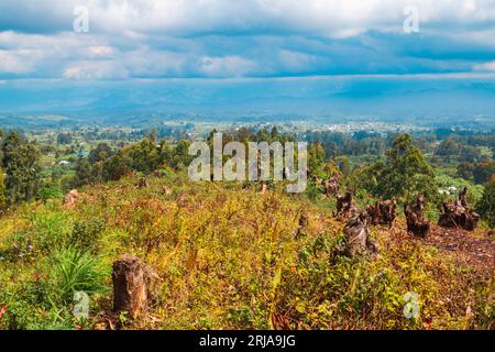 Paysages africains avec des acacias et des fermes de maïs dans la chaîne de Mporoto à Mbeya, Tanzanie Banque D'Images