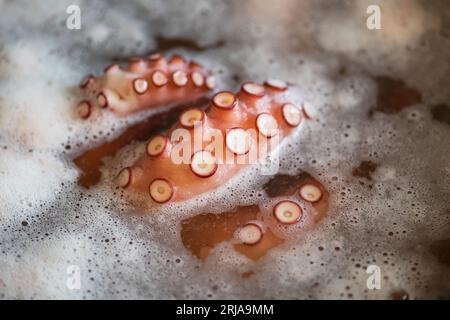 Tentacules d'une pieuvre crue bouillant dans l'eau avec du sel dans une grande casserole, gros plan Banque D'Images