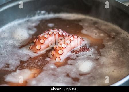 Tentacules d'une pieuvre crue bouillant dans l'eau avec du sel dans une grande casserole, gros plan Banque D'Images